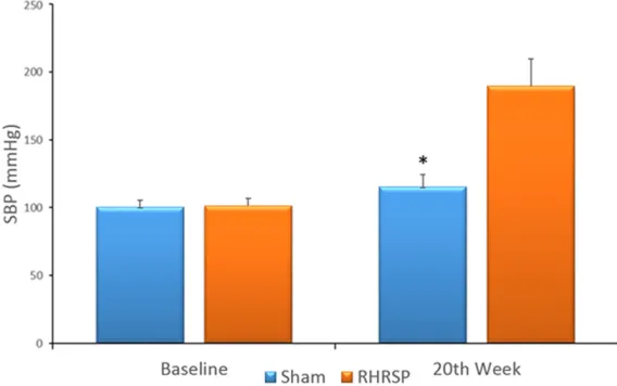 Figure 1. SBPs before and after surgery in the two groups (n=28). Baseline: before surgery; 20th week: 20 weeks after surgery