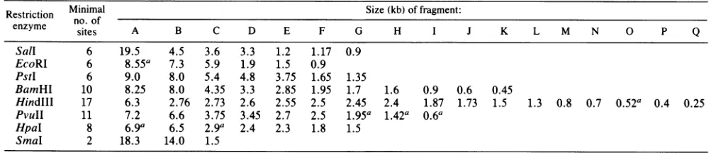 TABLE 1. Size of fragments generated after digestion of LL-H DNA with various restriction endonucleases