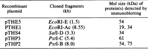 TABLE 3. Expression of LL-H cloned fragments in E. coliHB101a