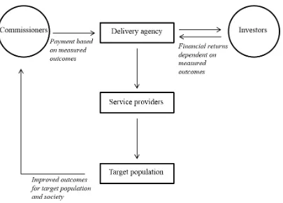 Figure 6. Generic Structure of SIB. Adapted from Young Foundation (2011) 