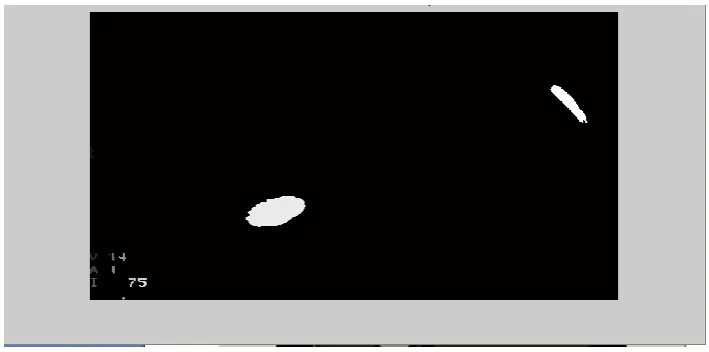 Figure A1.7 Dense-Sift Output 