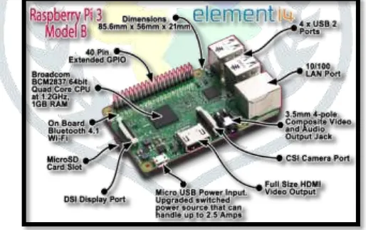 Figure 3. Raspberry pi processor. 