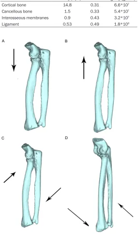 Table 1. Material characteristic parameters of several tissues