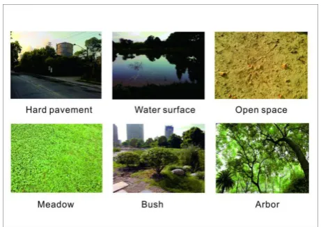 Fig. 3. Six types of underlying surfaces.  