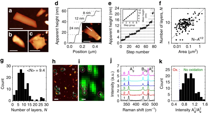 Figure 2 | Characterization of individual nanosheets. (a–c) Representative atomic force microscopic (AFM) images (scale bars in a, b and c: are 500, 200