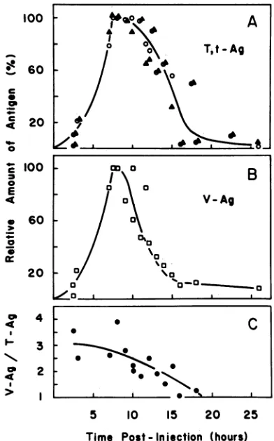 Fig. 6.6),anti-V Proteins were immunoprecipitated with anti-T and sera and fractionated by SDS gel electrophoresis (Fig