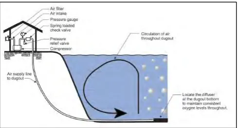 Figure 1.2: Basic diffused aeration concept. 