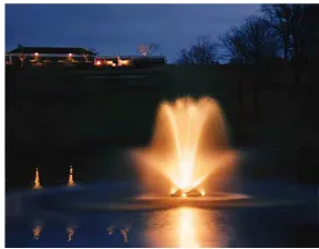 Figure 2.2: Fountain type aerator 