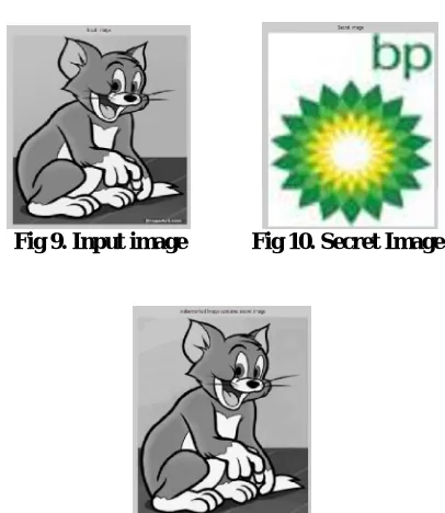 Fig 12. Stego image 