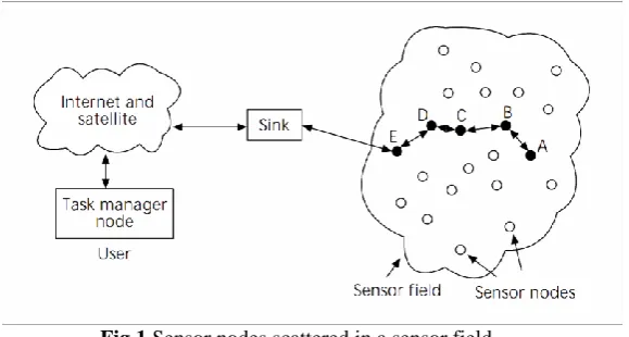 Fig 1 Sensor nodes scattered in a sensor field   