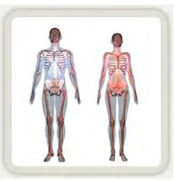 Figure 2.2 : Body Physical