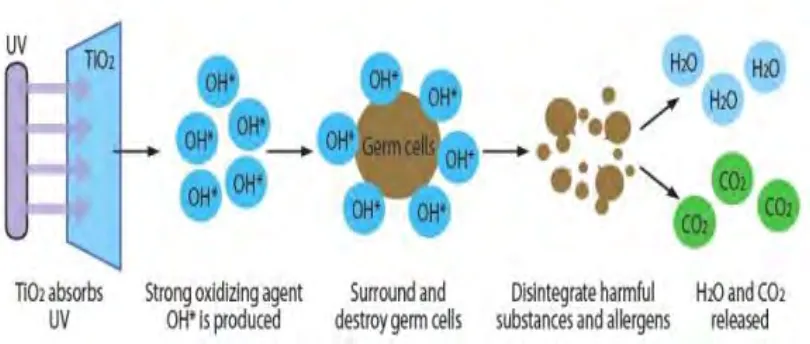 Figure 2.1: Reaction process of the TiO2 coating with bacteria. 
