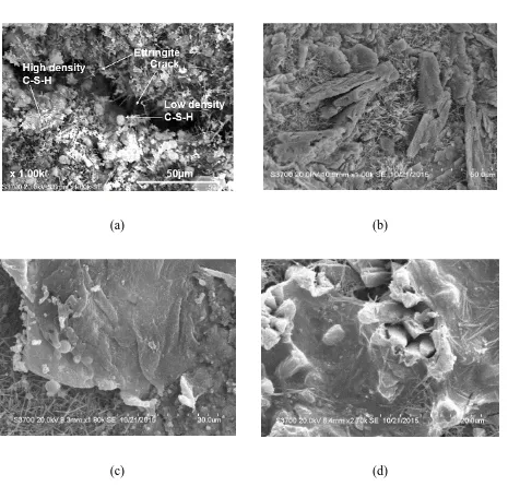 Figure 6 SEM pictures of SEM pictures of (a) 0% GO-cement (b) 0.02% GO-cement, (c) 0.035% 
