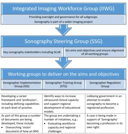 Figure 1: The current work stream to develop a Sonographer Career Framework 