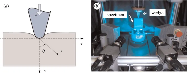 Figure 4. Schematic diagram ((adapted from Tana) and photograph (b) of the indentation of a rubber block (60�60�30 mm) by a rigid indenter et al