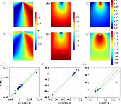 Figure 5. Measured (area of the rubber block shown in figure 4 when it was subject to 2 mm displacement load by the wedge in theplots obtained using the CEN methodology [16] (a) and predicted (b) x-direction (i), y-direction (ii) and z-direction (iii) disp