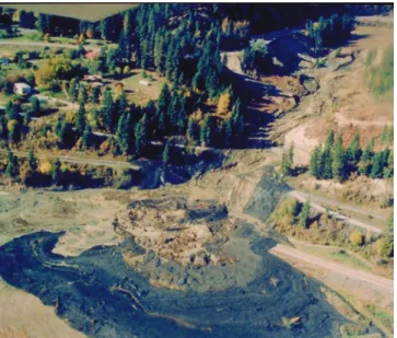 FIGURE 5  Debris flow, May 2005,  Beartooth Highway, Montana. 