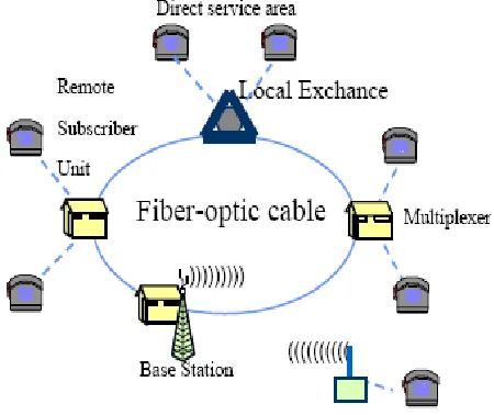 Fig. 1. Model of a perspective Access Network (Krendzel, accessed 2012)