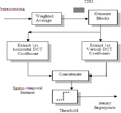 Fig. 2 Schematic of the TIRI-DCT algorithm 