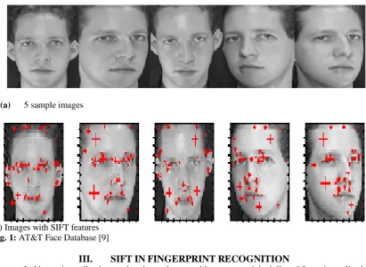Fig. 2: Fingerprint structure [12]minutiae points and ridge patterns. Scale Invariant Feature Transformation (SIFT) has been implemented in this field of fingerprint verification