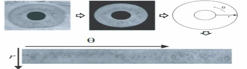 Fig. 3:  transferred to a rectangular image, with the pupil center being the center of the polar coordinates [18].Normalization of the iris region to polar coordinates