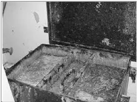 Figure 4: Example of overfill grease trap (Source: Lakasa, 2006). 