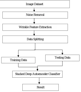 Fig. 1: Proposed Age Estimation Process   
