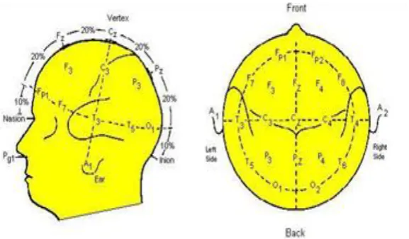 Fig. 2. The International 10/20 Systems of Electrode Placement 