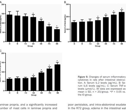 Figure 9. Changes of serum inflammatory cytokines in rats after intestinal obstruc-