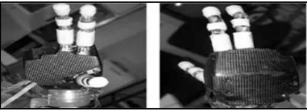 Figure 2.3: Design of bionic hand by M.C Carrozza [3] 