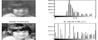 Fig 1.  Image Enhancement using Histogram Equalization 