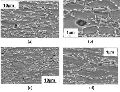 Figure 2.6: Potential sites for void formation or damage initiation in dual phase steels