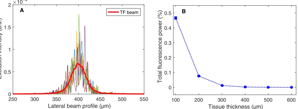 Fig. 5. Numerical simulation of TRAFIX in scattering media. (indicates the smoothed-out lateral beam profile, taking all monochromatic components of the laser pulse into account