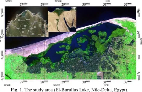 Fig. 2. The SPOT: 4 satellite image of the study area (July 1st, 2012).  
