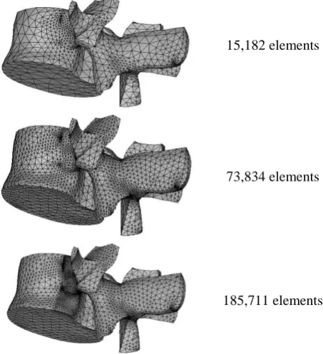 Fig. 3. Different mesh density on pedicle   