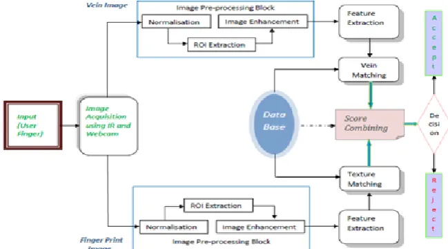 Fig 2.  Block diagram for multimodal biometric authentication combining finger print and finger vein