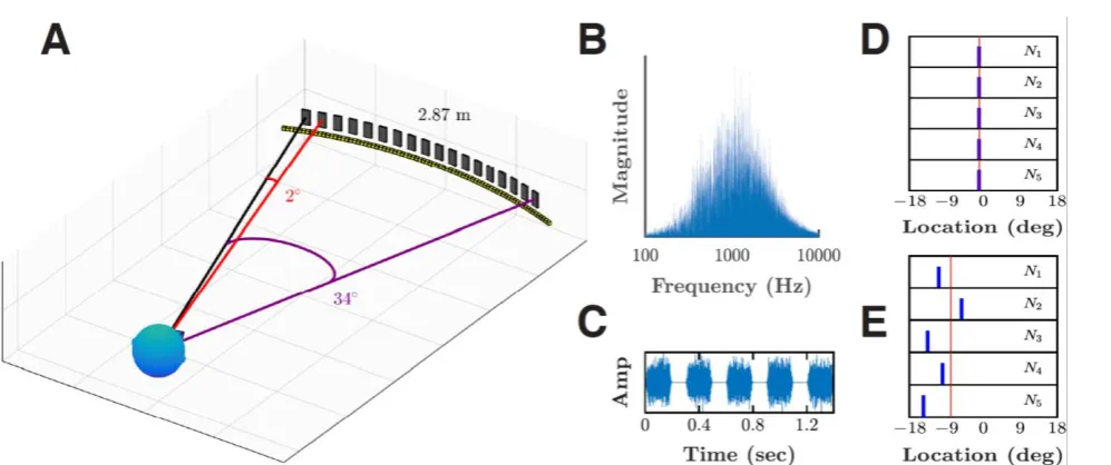 FIG 1. Stimuli and test apparatus for both experiments. (A) The listener’s task was to locate the [single] source 