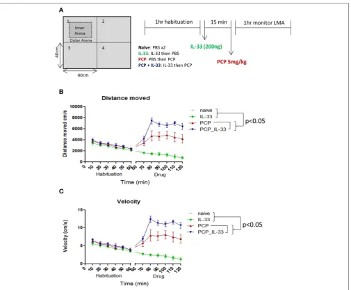 FIGURE 5 | IL-33 enhances PCP-induced changes in locomotor activity.analyzed. Signiﬁcant (being taken out of the maze and injected intraperitoneally with vehicle control (PBS) or 200 ng IL-33
