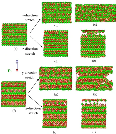 Figure 2 Tensile test simulation of Model I and Model III along z- and y- Directions. (a) Model I after equilibrium