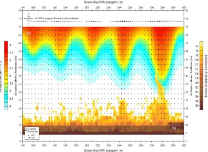 Figure 1.1. Internal wave propagation in the temperature field. Wave propagates from left 
