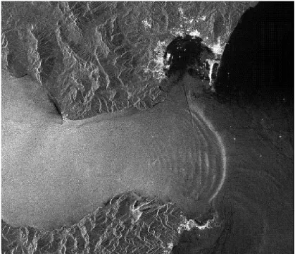 Figure 1.3. Satellite image of surface modulations caused by internal waves at the Straits of 