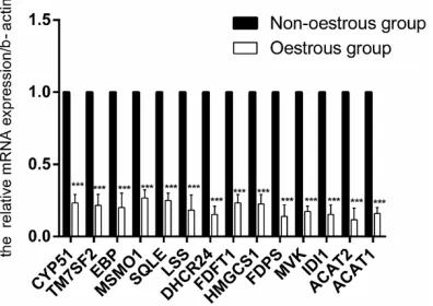 Figure 3. The most enriched 20 pathways. (The size of black circle repre-sents the DEGs number).