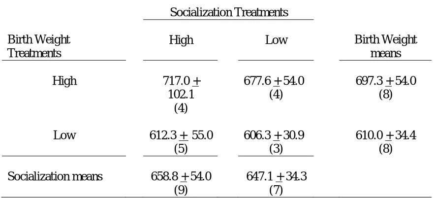 Table 11. Effect of Birth Weight and Socialization on Testicular Size (area) at 266 days of age (cm2 + s.e.)