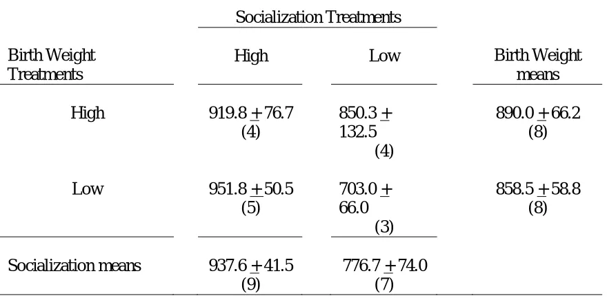 Table 15. Effect of Birth Weight and Socialization on Testicular Size (area) at 378 days of age (cm2 + s.e.)