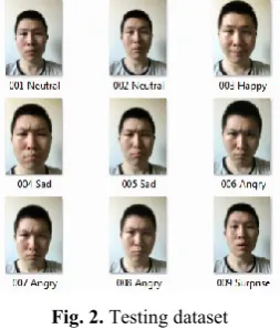 Fig. 2. Testing dataset 