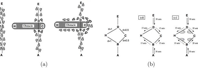 FIGURE 2: Path Choosing based on Pheromone. (a) An example with real ants. (b)An example with artiﬁcial ants.