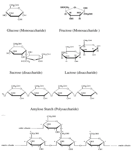 Figure 2. Structures of the major carbohydrates for pigs (adapted from Brown, 1999) 