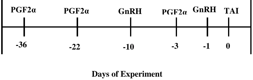 Figure 1:  Presynch-Ovsynch estrus synchronization protocol.  PGF2α was administered on 