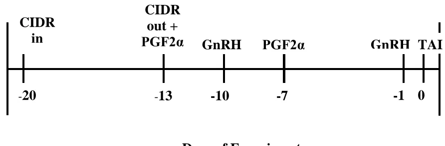 Figure 2:  CIDR + Ovsynch estrus synchronization protocol.  CIDR was inserted vaginally 