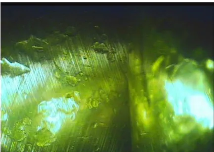 Figure 1: Borescope image of bearing issue showing indents  [11] 